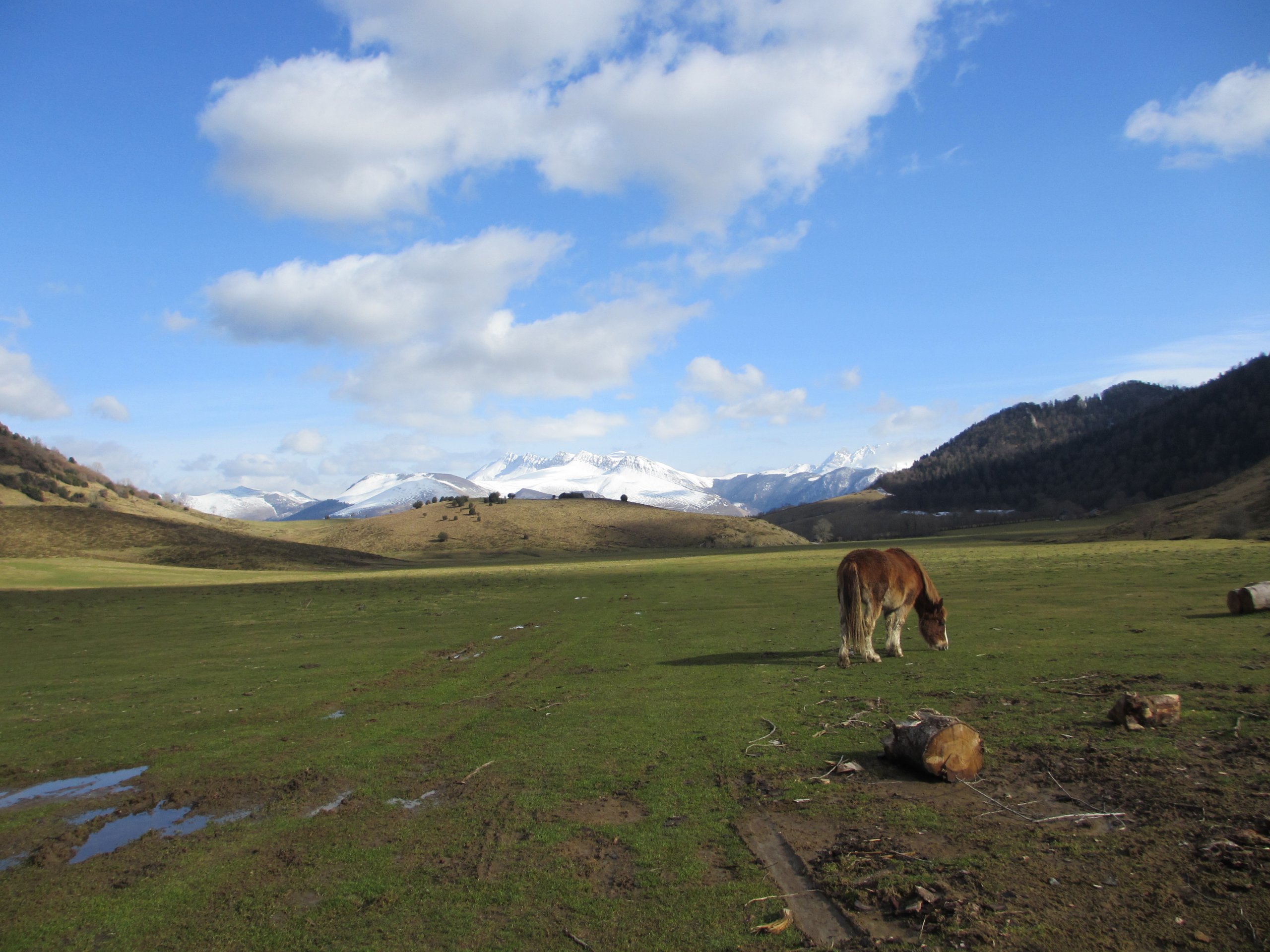 Fonds d'cran Nature Paysages Plateau du Benou, Pyrnes atlantiques