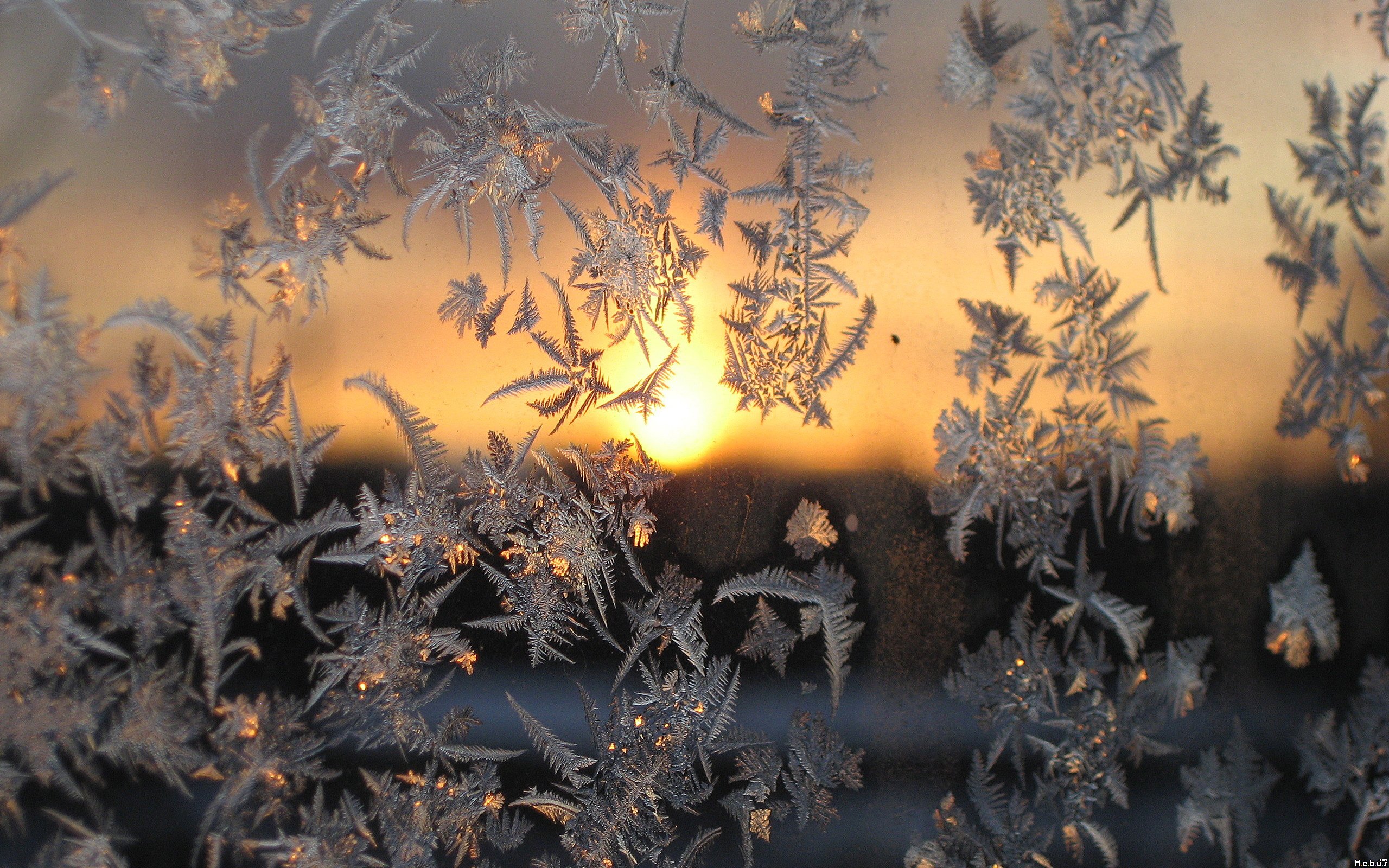 Fonds d'cran Nature Saisons - Hiver 