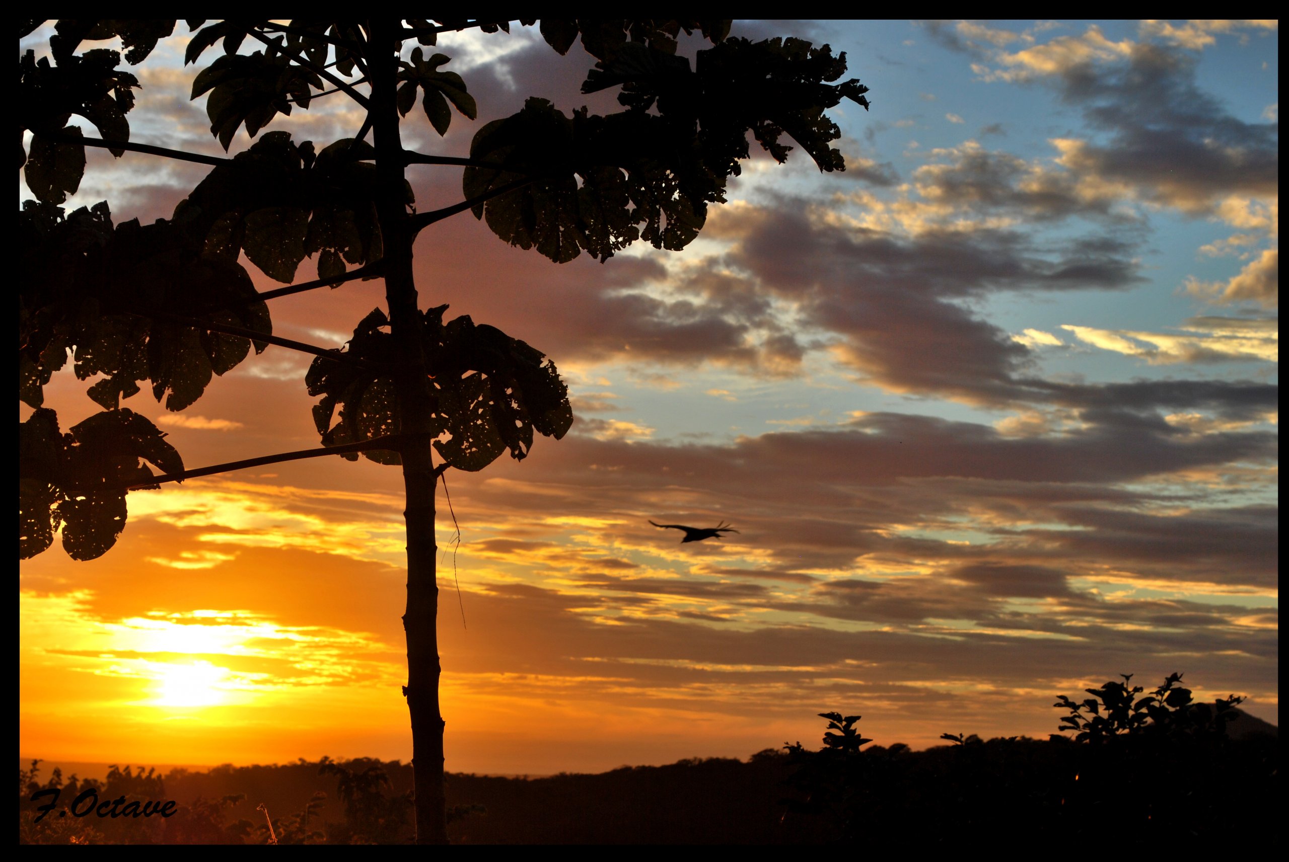 Fonds d'cran Nature Couchers et levers de Soleil Couch de soleil au Costa Rica