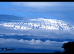  Nature Kilimanjaro