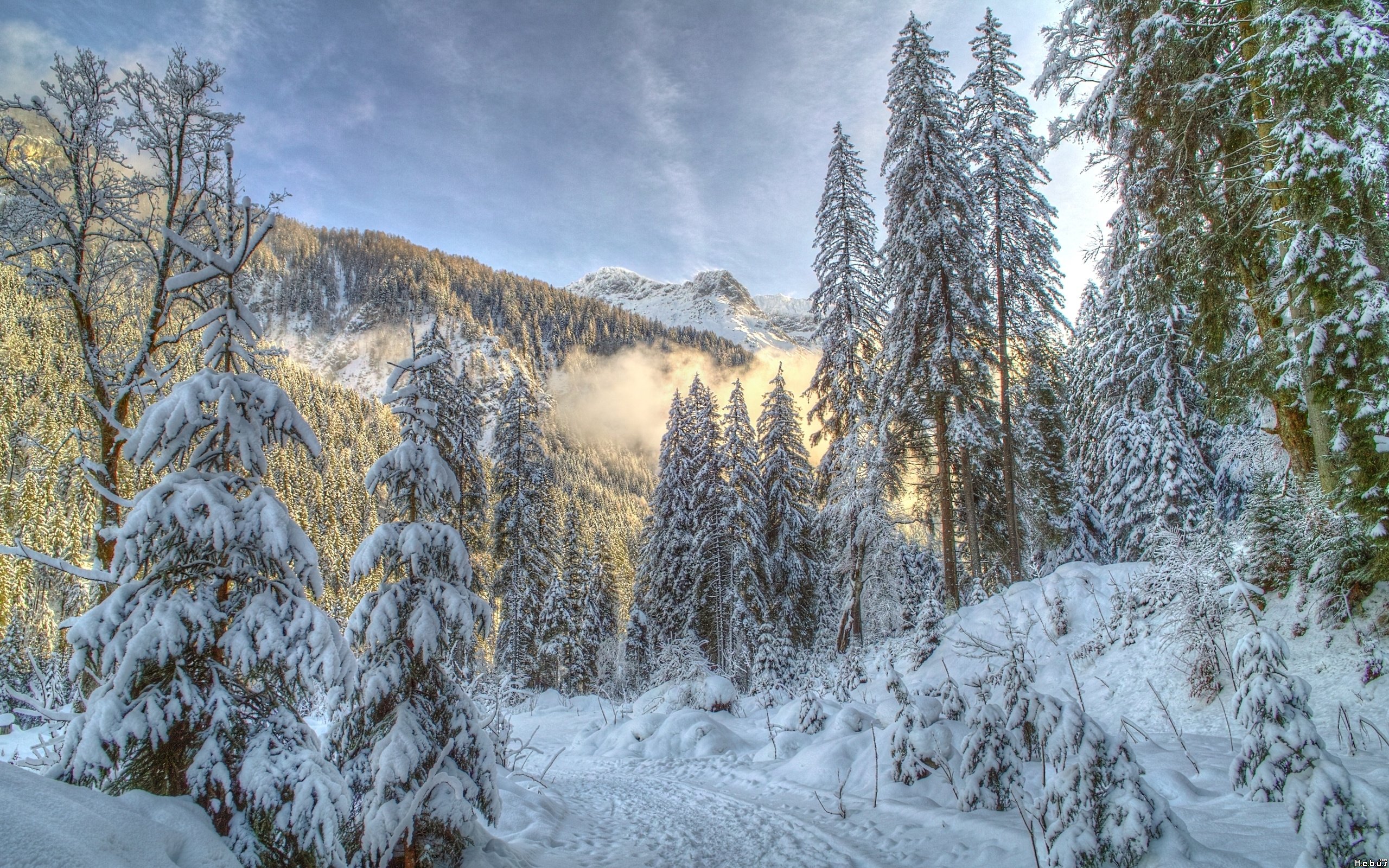 Fonds d'cran Nature Saisons - Hiver 