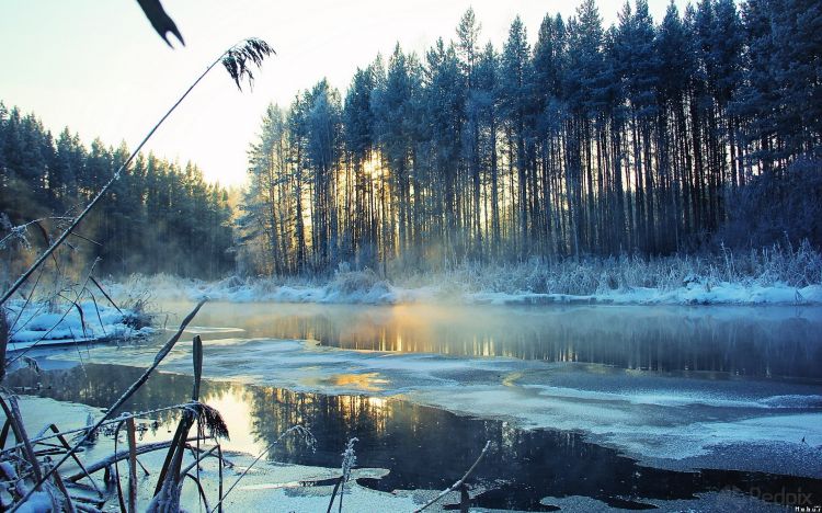 Fonds d'cran Nature Saisons - Hiver Wallpaper N296805