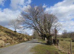  Nature Chemin, plateau du Benou, Pyrnes atlantiques