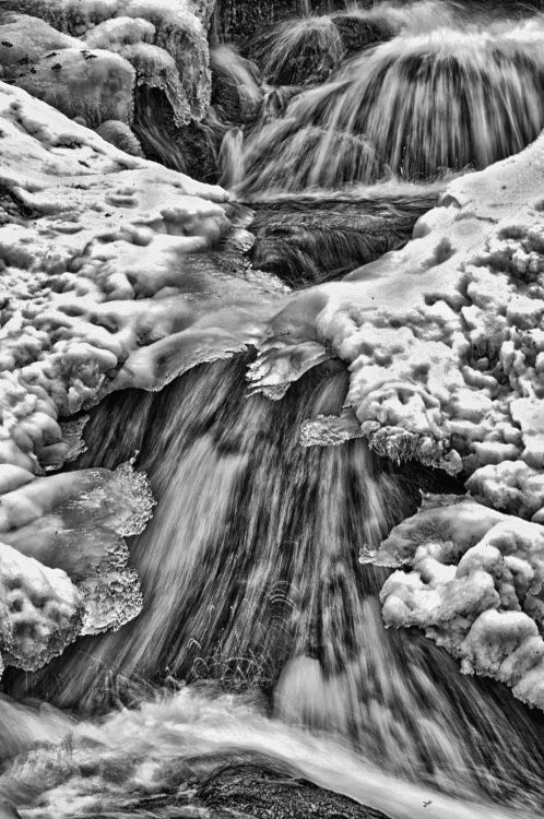 Fonds d'cran Nature Fleuves - Rivires - Torrents Salmon ice