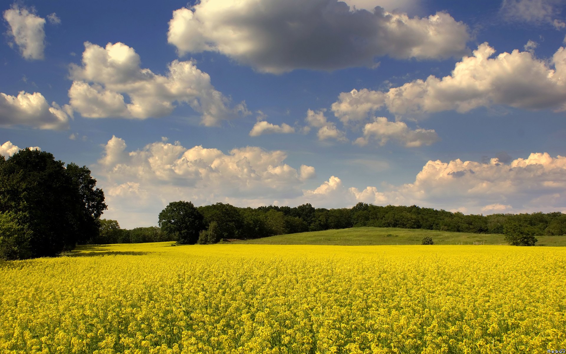 Fonds d'cran Nature Champs - Prairies 