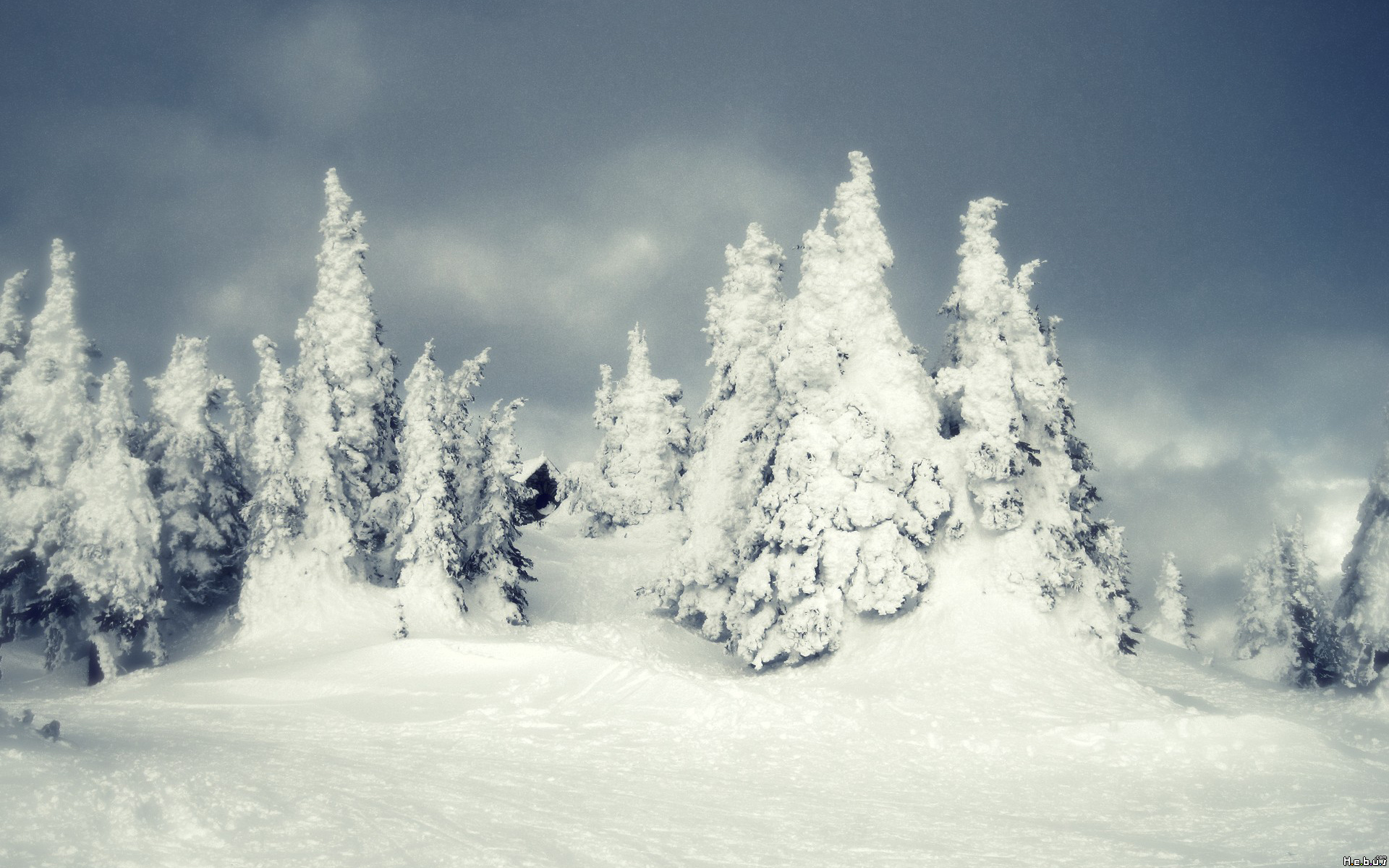 Fonds d'cran Nature Saisons - Hiver 