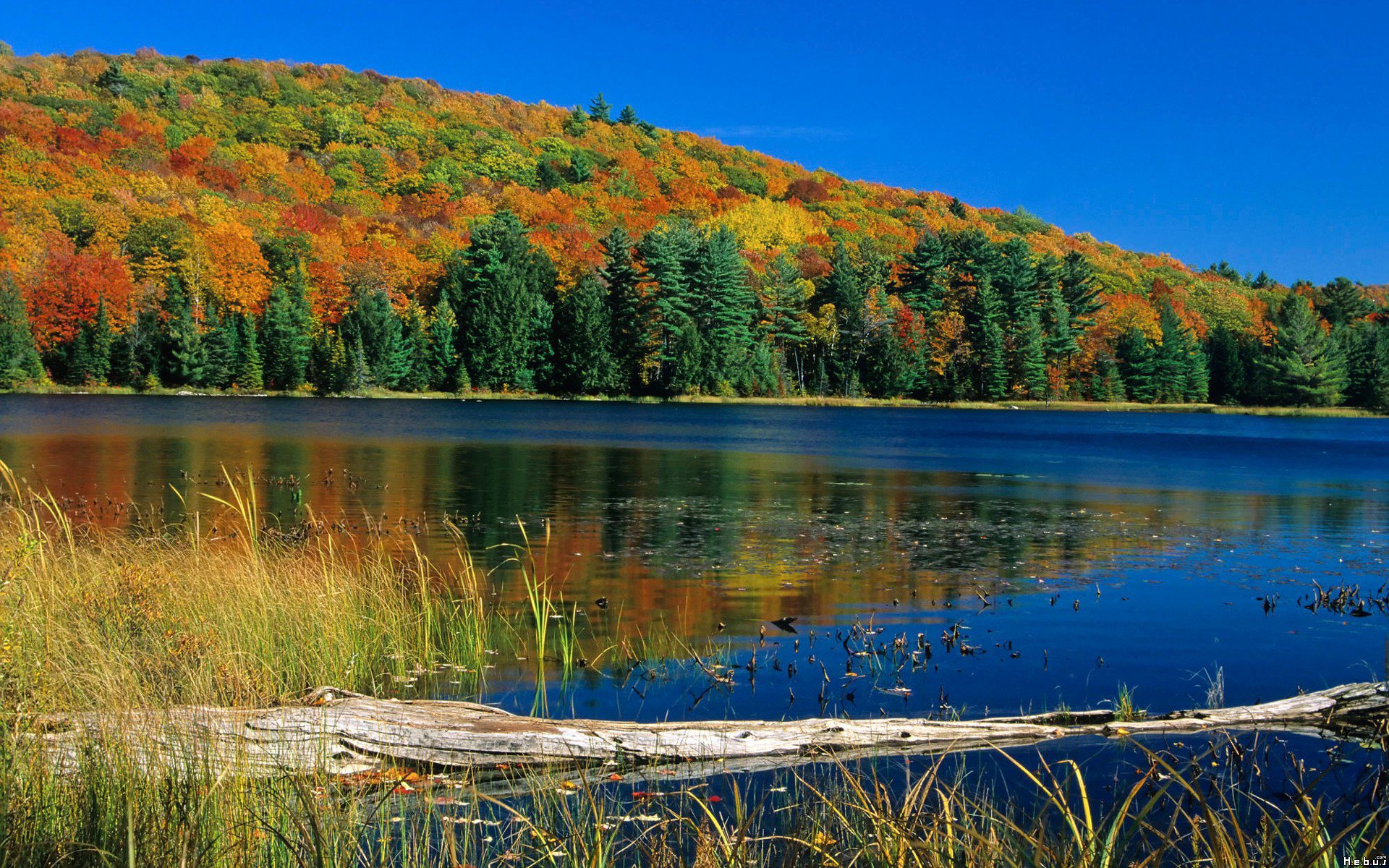 Fonds d'cran Nature Lacs - Etangs 