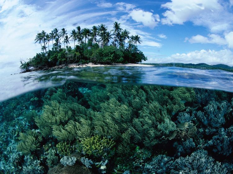 Fonds d'cran Nature Mers - Ocans - Plages Waaateer!