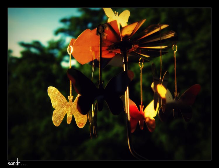 Wallpapers Objects Miscellaneous golden butterfly