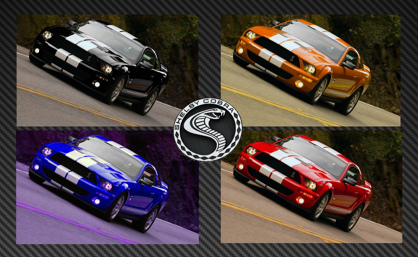 Wallpapers Cars Mustang mustang color