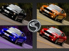  Cars mustang color