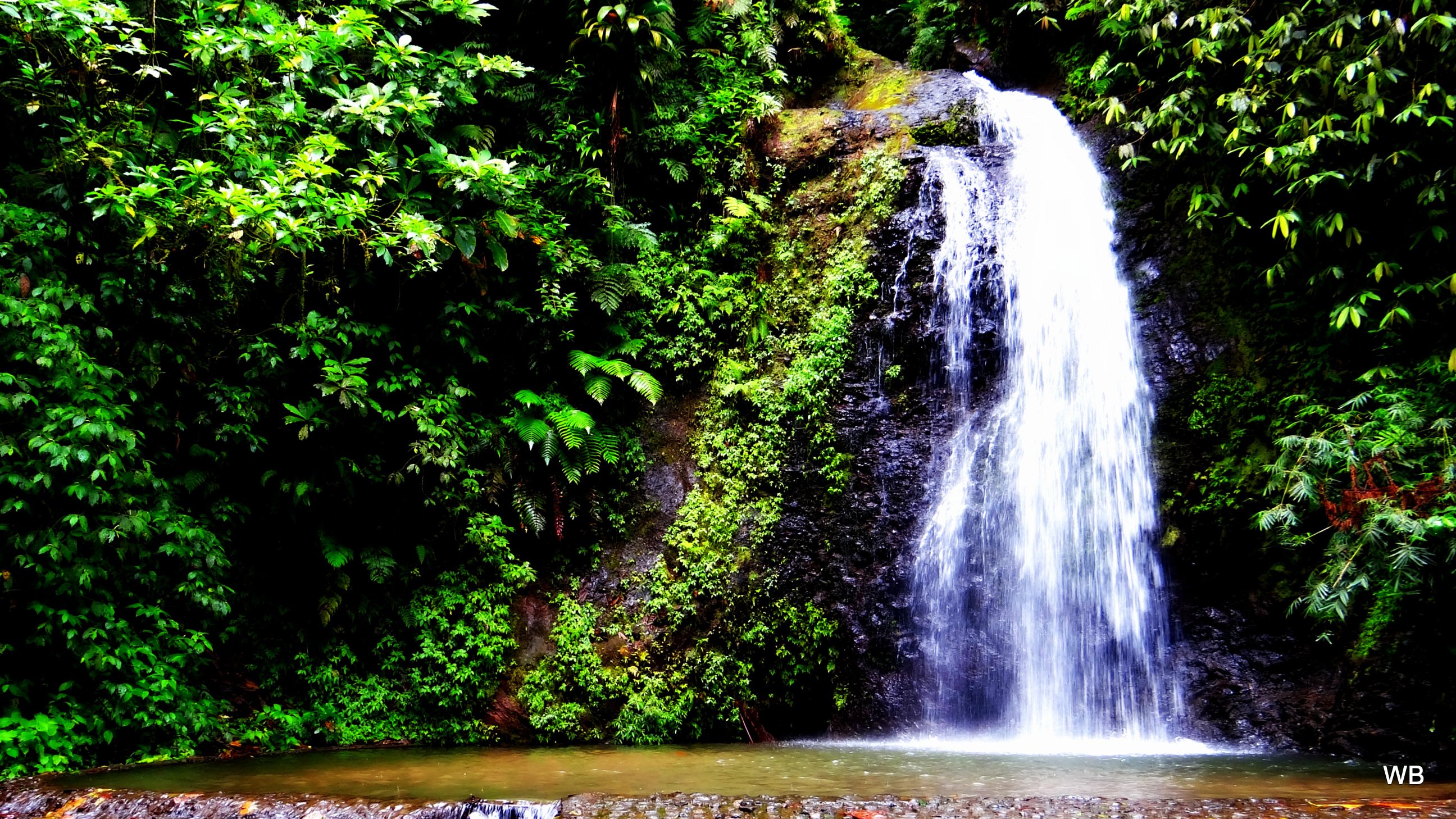 Wallpapers Nature Waterfalls le saut gendarme (martique)