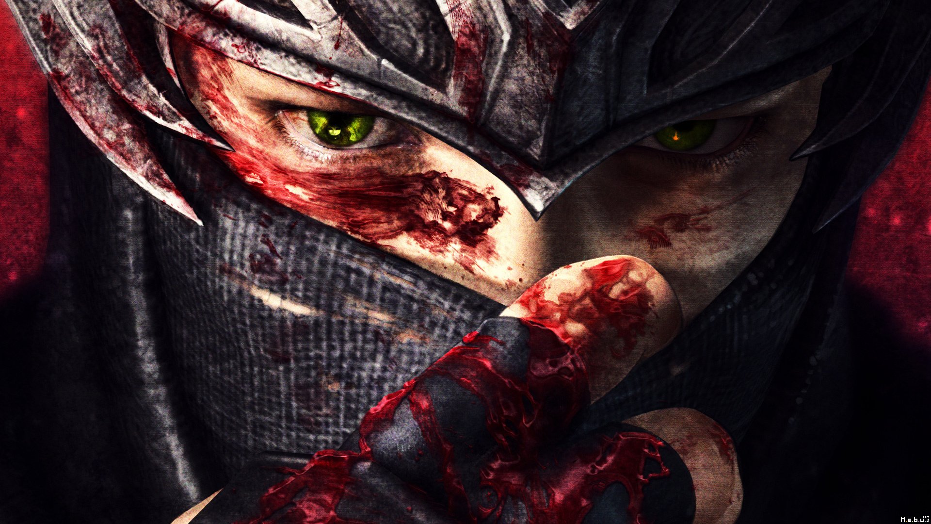 Fonds d'cran Jeux Vido Ninja Gaiden 3 