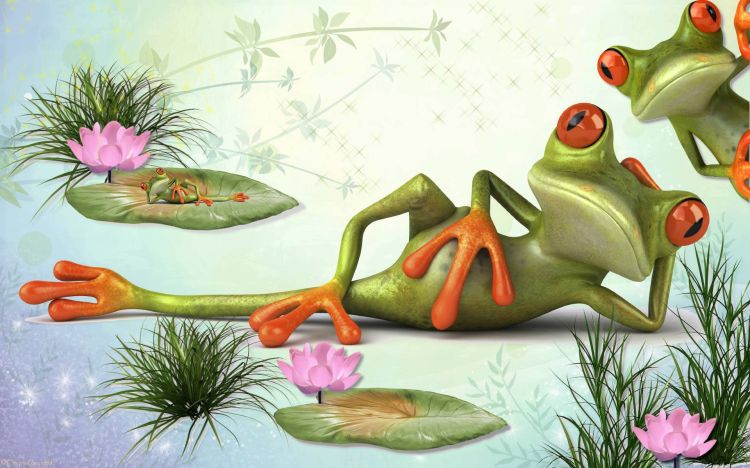 Fonds d'cran Art - Numrique Animaux Vie cool des grenouilles - Frogs cool life