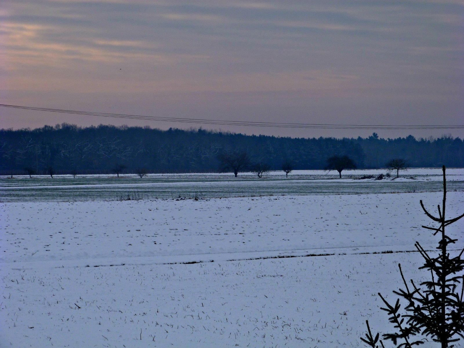 Fonds d'cran Nature Paysages La neige :D