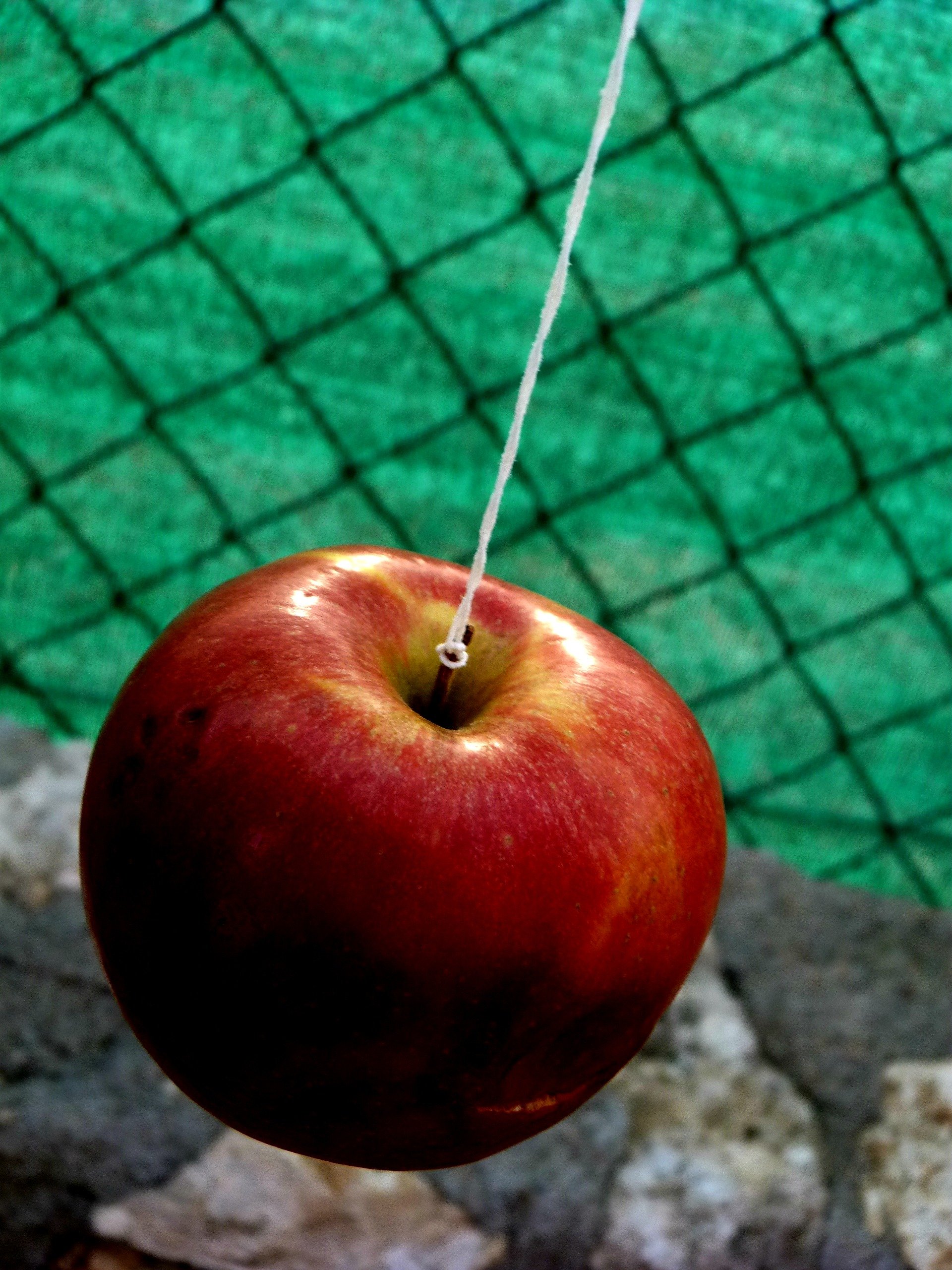 Fonds d'cran Nature Fruits Petite pomme 