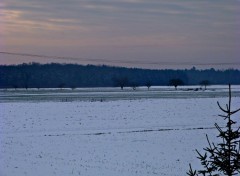  Nature La neige :D