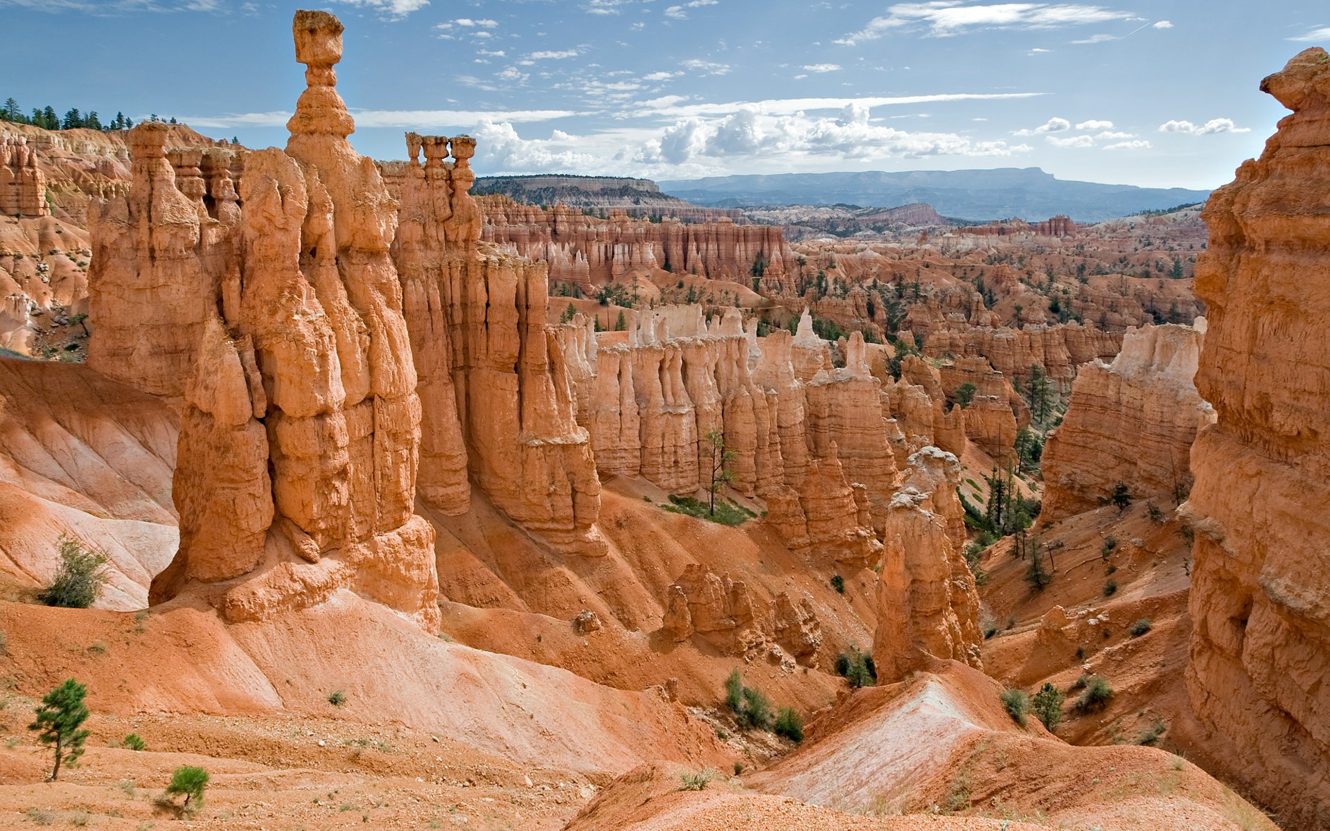 Wallpapers Nature Deserts Sentinelles