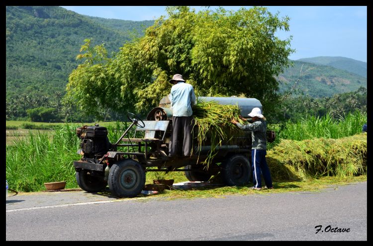 Wallpapers Trips : Asia Vietnam Machine a extraire le riz