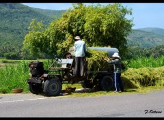  Voyages : Asie Machine a extraire le riz