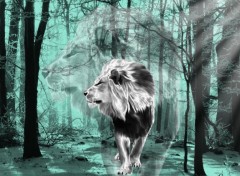  Animals Lion