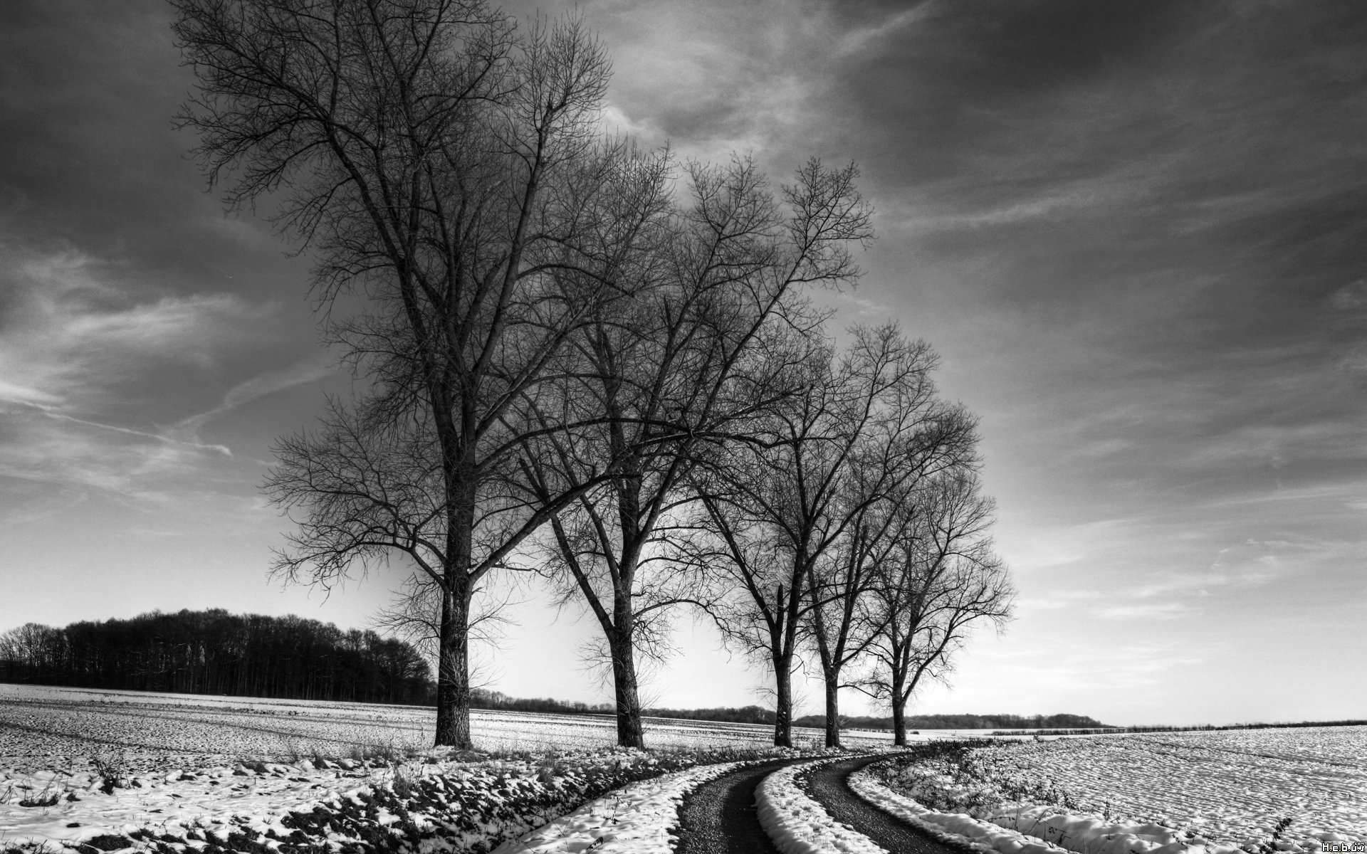 Fonds d'cran Nature Saisons - Hiver 