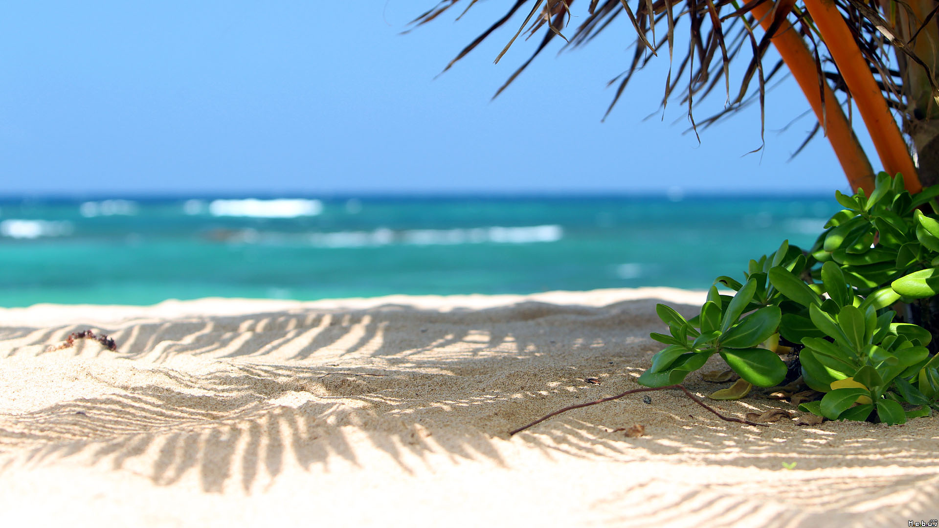 Fonds d'cran Nature Mers - Ocans - Plages 