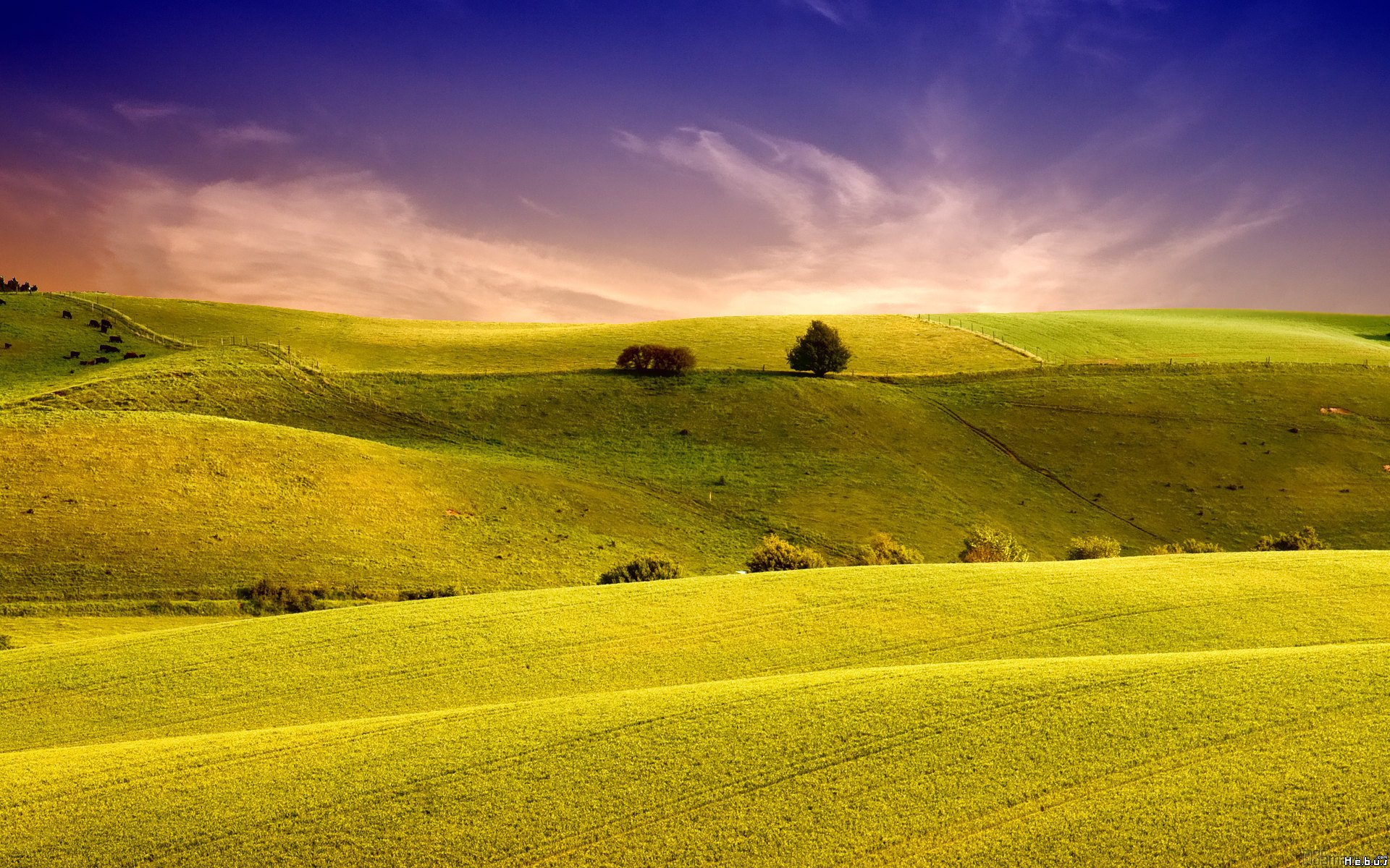 Fonds d'cran Nature Champs - Prairies 