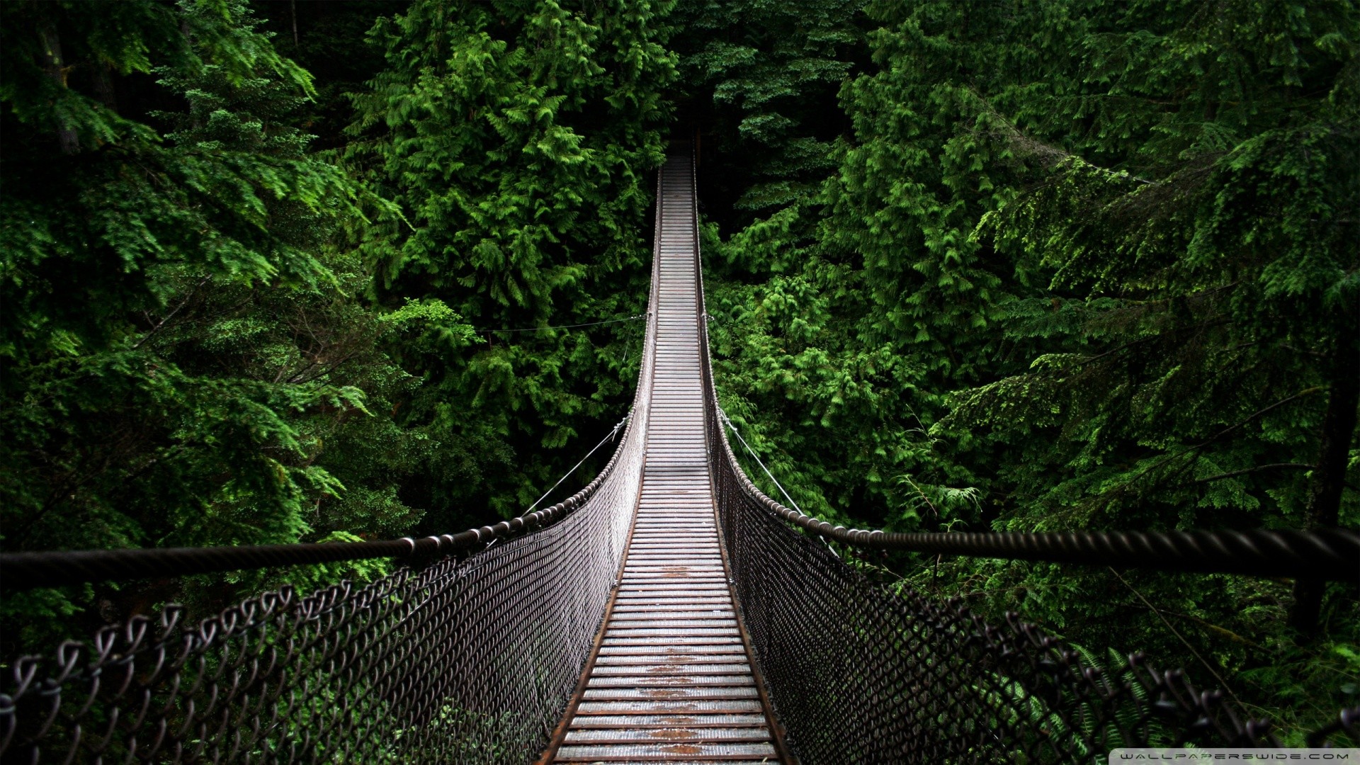 Wallpapers Constructions and architecture Bridges - Aqueduct 