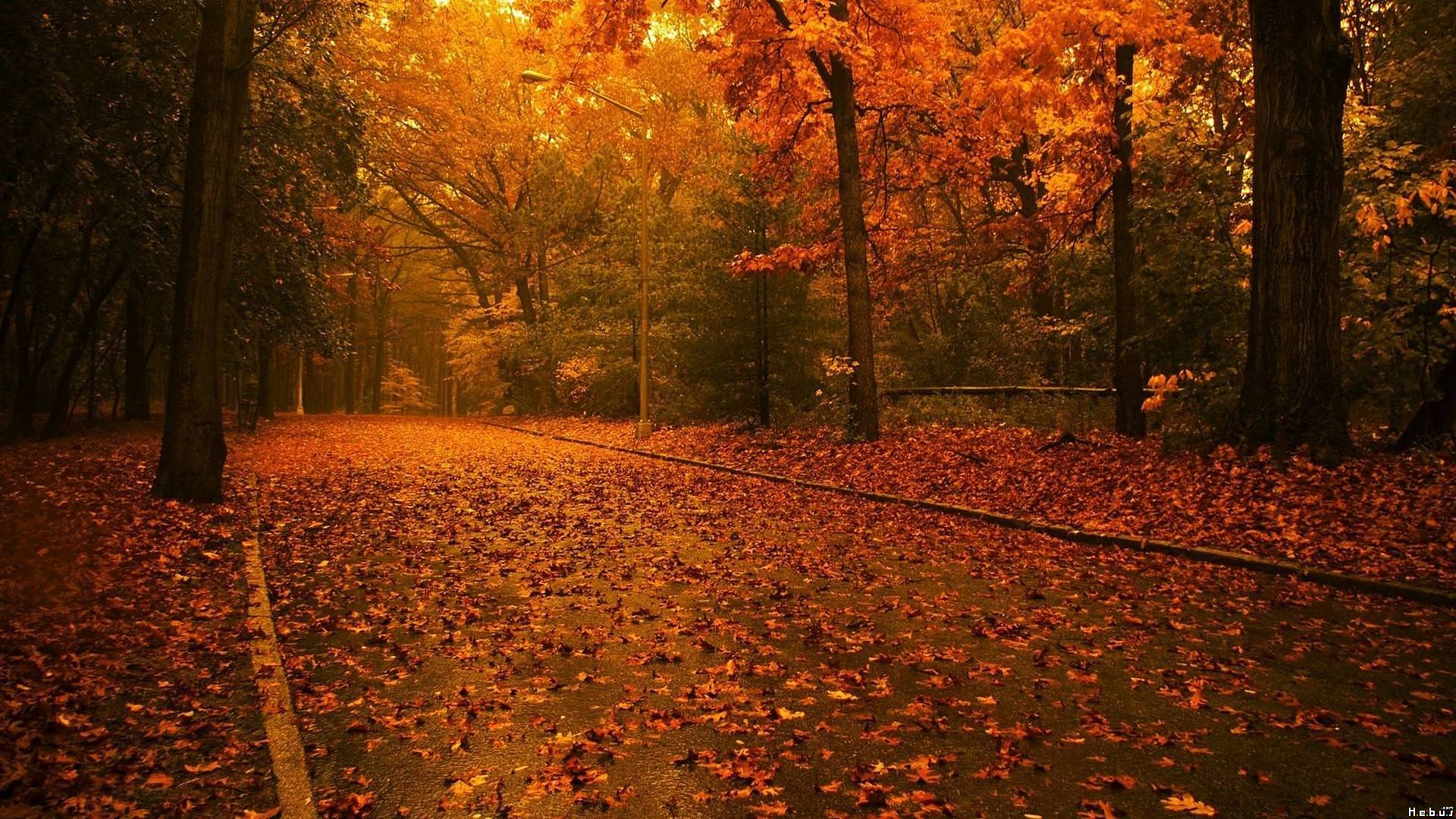 Fonds d'cran Nature Saisons - Automne 