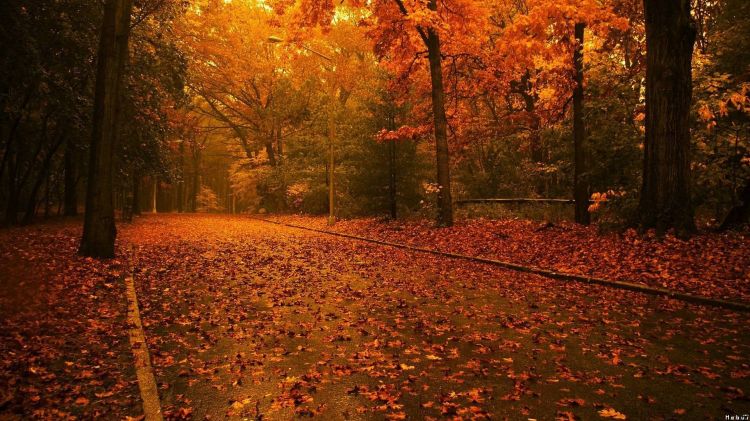 Fonds d'cran Nature Saisons - Automne Wallpaper N298840