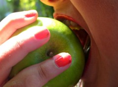  Nature Une petite pomme verte. 