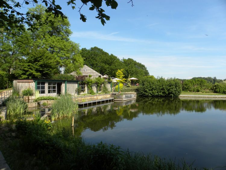 Wallpapers Nature Lakes - Ponds lac de bambois belgique