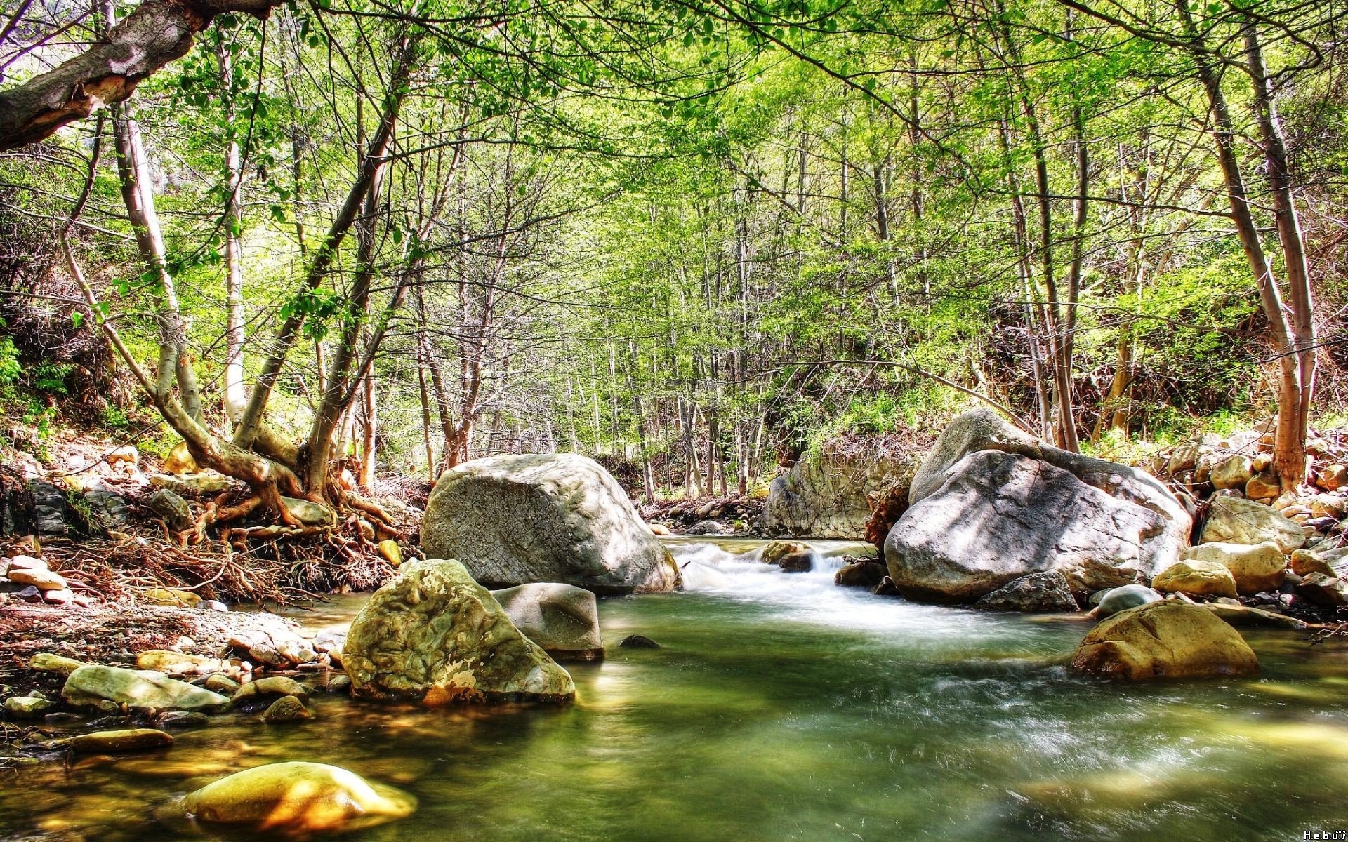 Fonds d'cran Nature Fleuves - Rivires - Torrents 