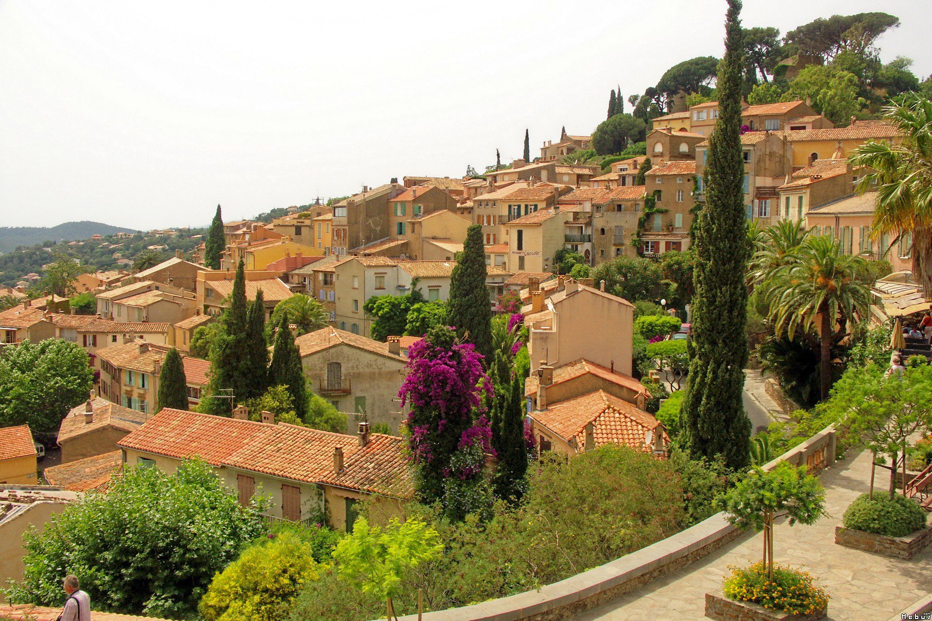 Wallpapers Trips : Europ France > Provence-Alpes-Cte d'Azur Bormes les mimosas