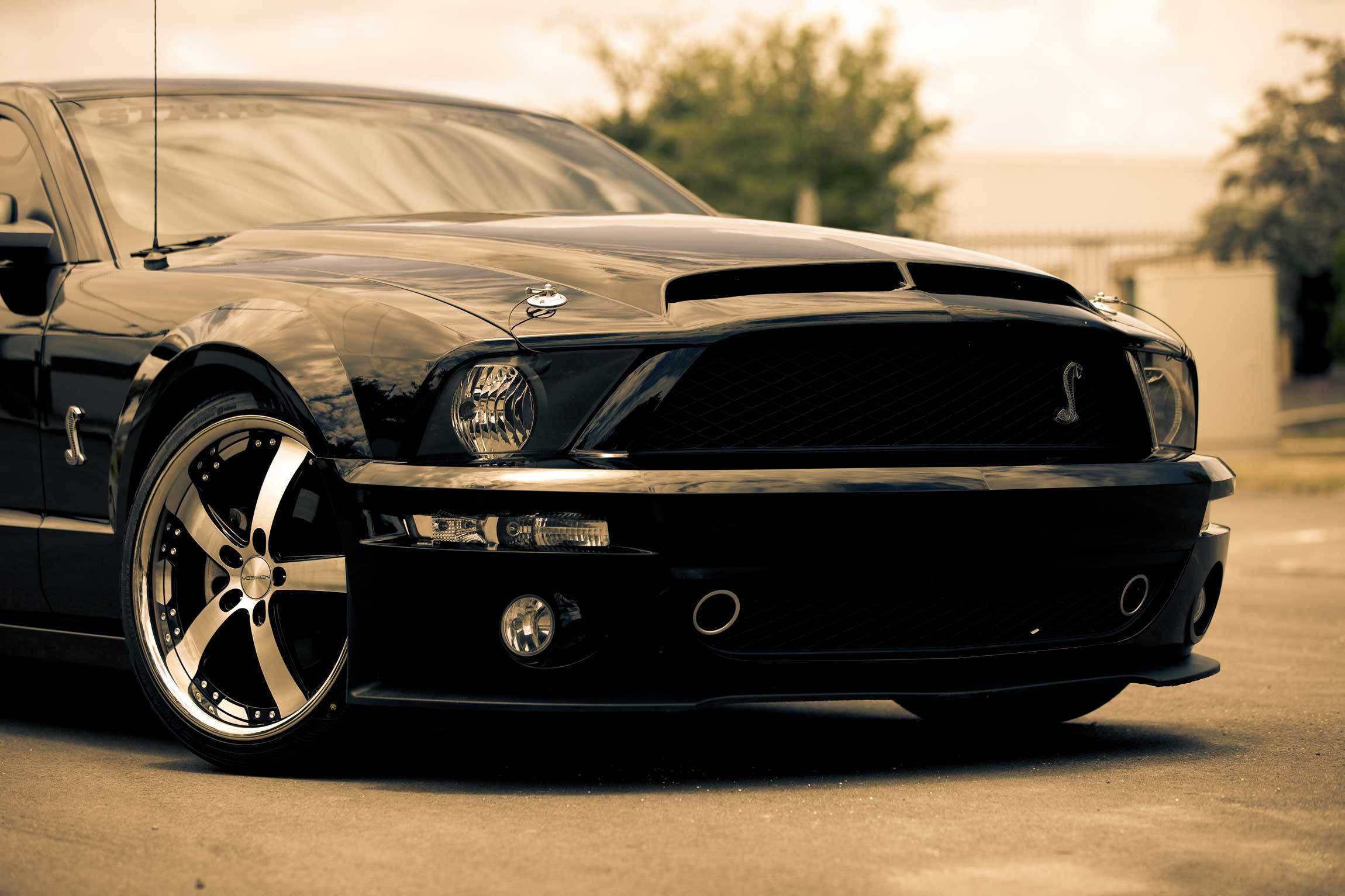 Wallpapers Cars Mustang Shelby GT500