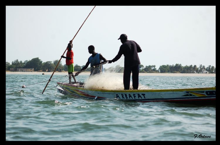 Fonds d'cran Voyages : Afrique Sngal Peche au filet :)