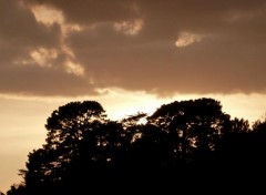  Nature sur les cotes du Morbihan