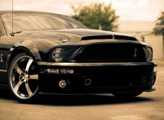  Voitures Shelby GT500