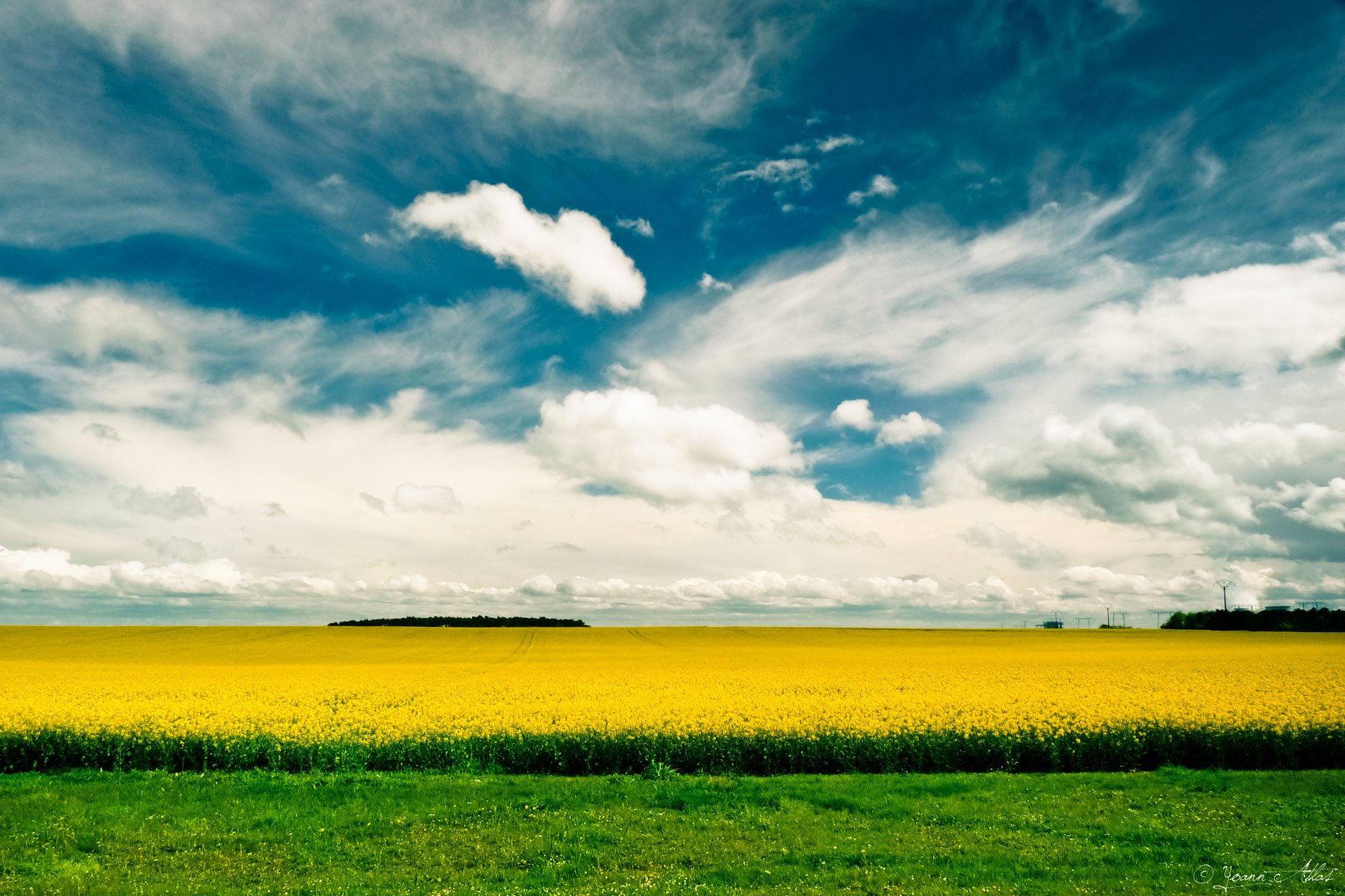 Fonds d'cran Nature Champs - Prairies Sun & Field