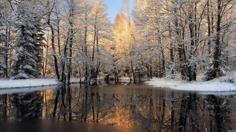 Fonds d'cran Nature Saisons - Hiver Wallpaper N299355