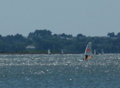  Nature planche  voile sur le golfe