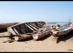  Bateaux Pirogues Sngalaise