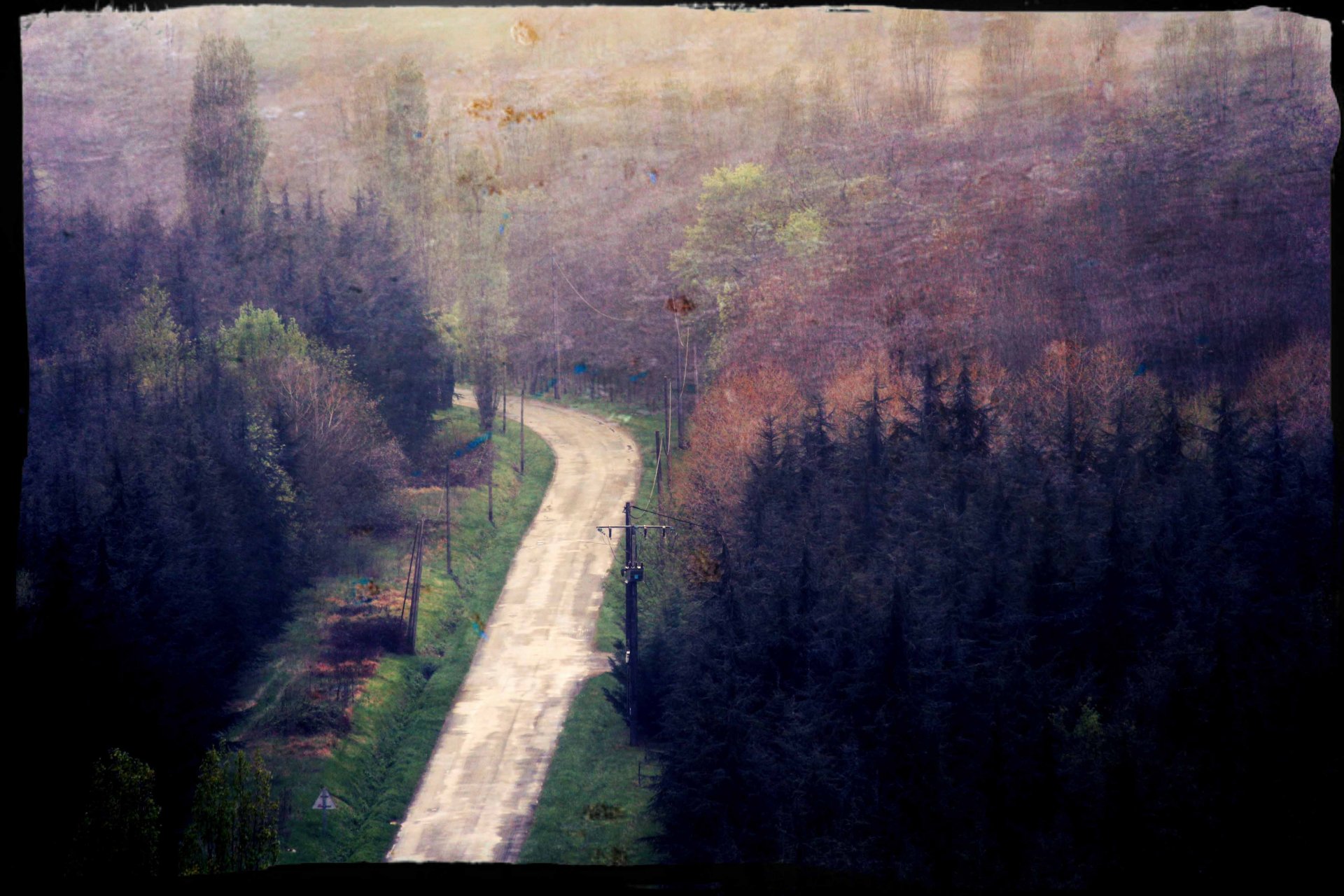 Fonds d'cran Nature Arbres - Forts la sombre route