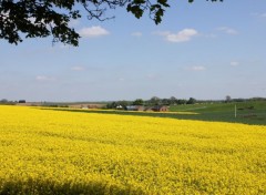  Nature le temps des moissons