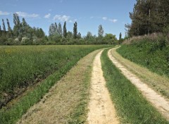  Nature A la campagne...