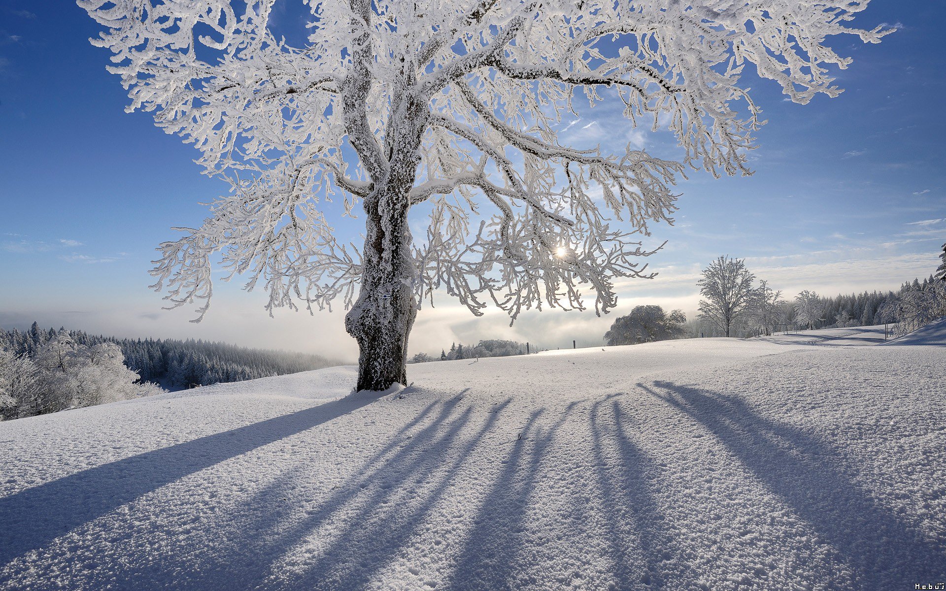 Wallpapers Nature Saisons - Winter 