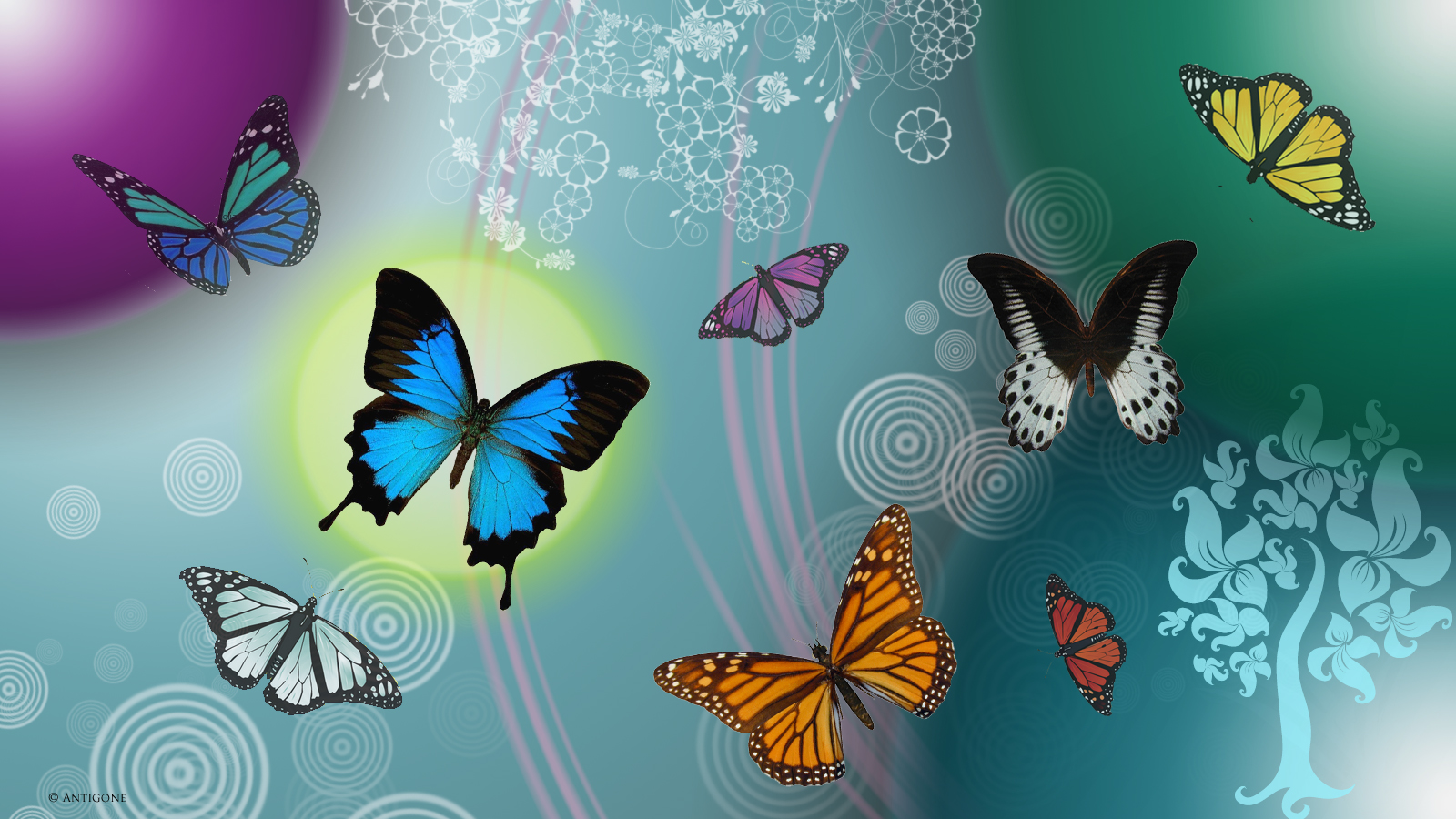 Wallpapers Animals Insects - Butterflies Papillons