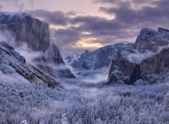  Nature Hiver dans la Sierra valley (Californie)