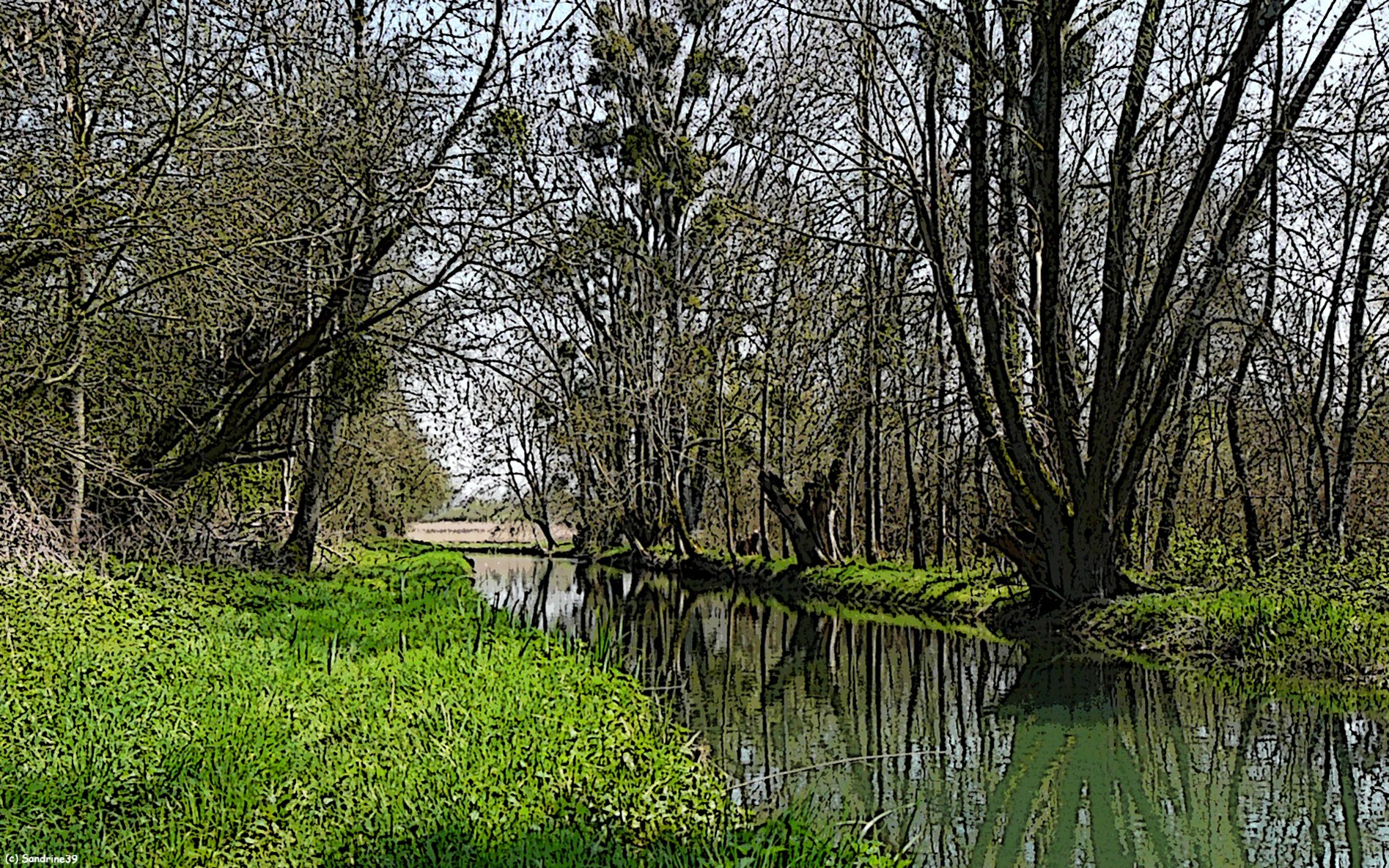 Wallpapers Nature Landscapes Cour d'eau